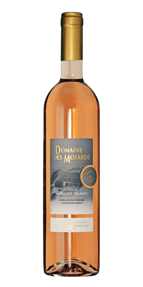 Molards - Merlot blanc