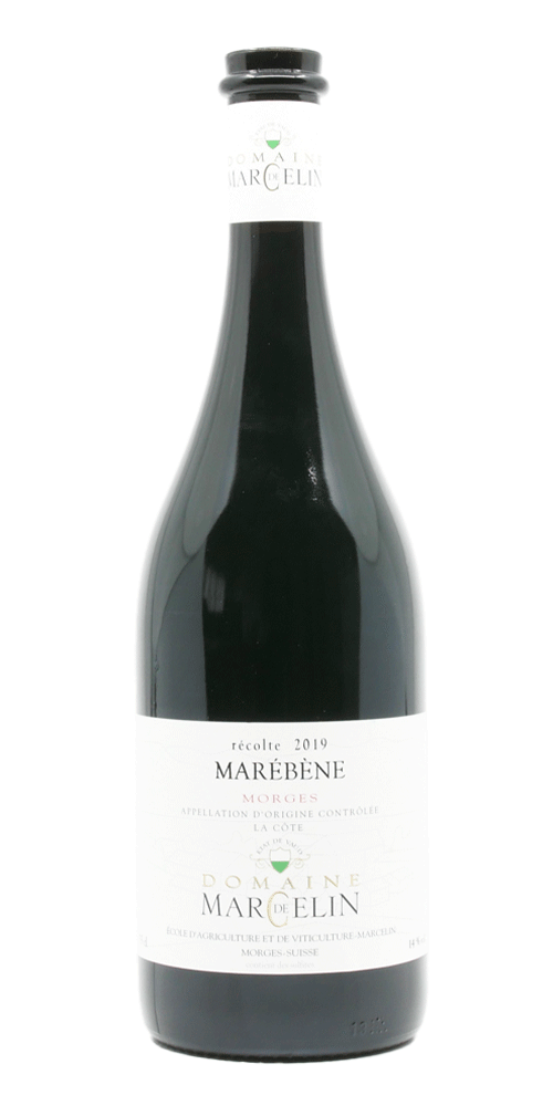 Domaine de Marcelin - Marébène