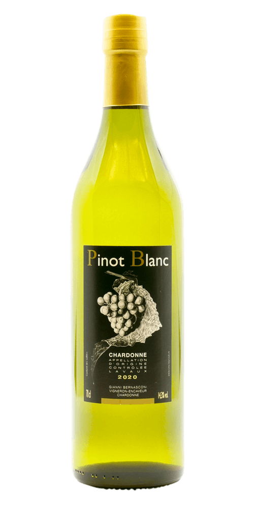 Pinot Blanc