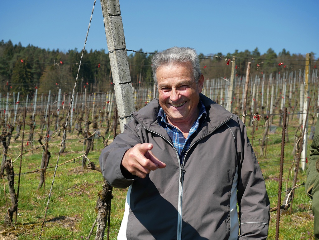 Rutishauser Divino SA