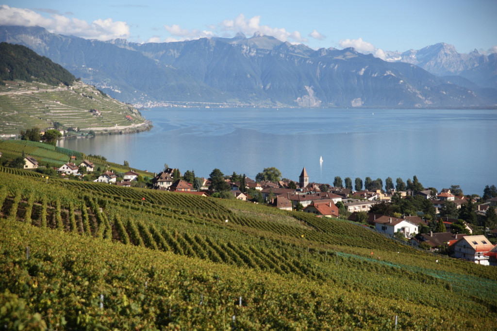 Domaine Genévaz