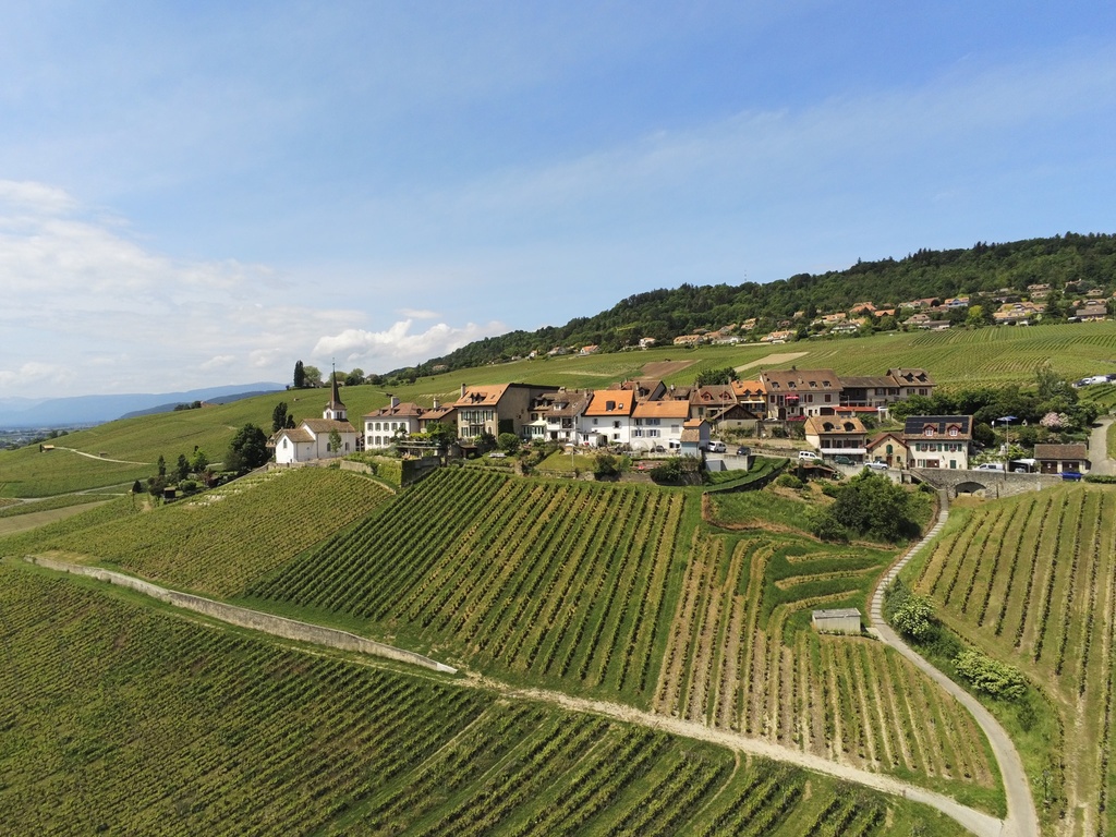 Domaine de Féchy-Dessus
