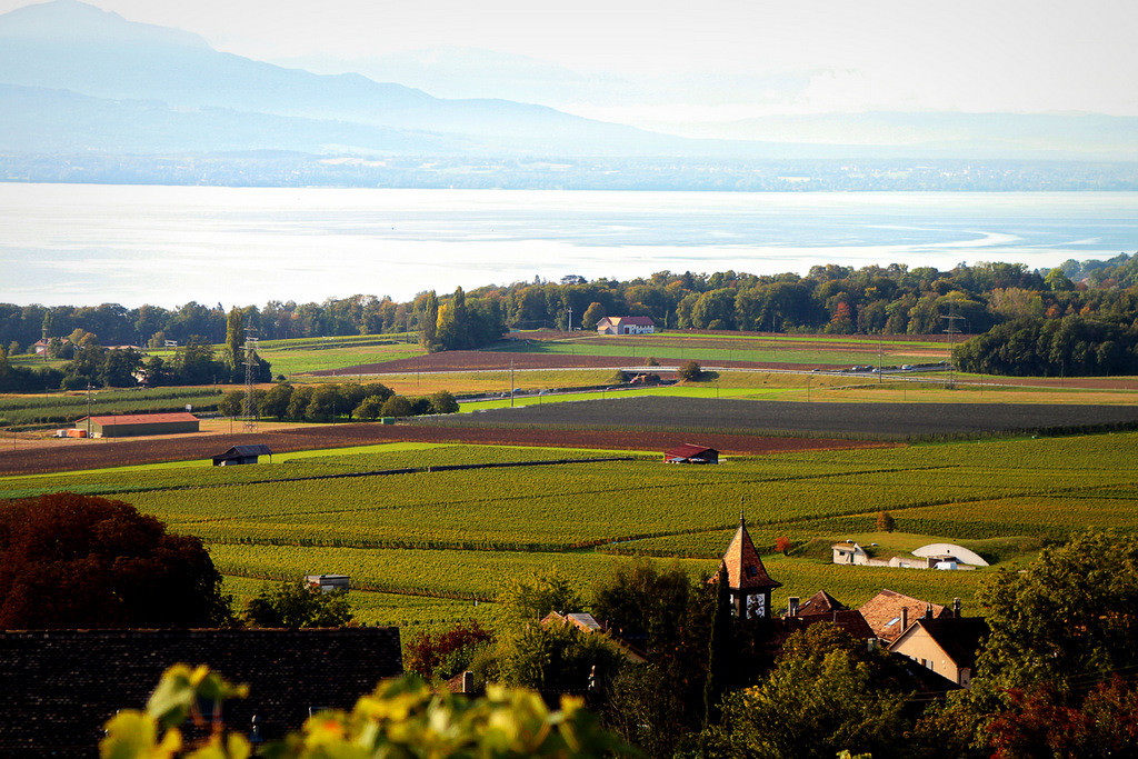 Domaine des Chantailles