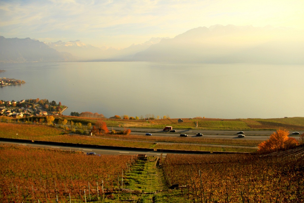 Domaine Gianni Bernasconi